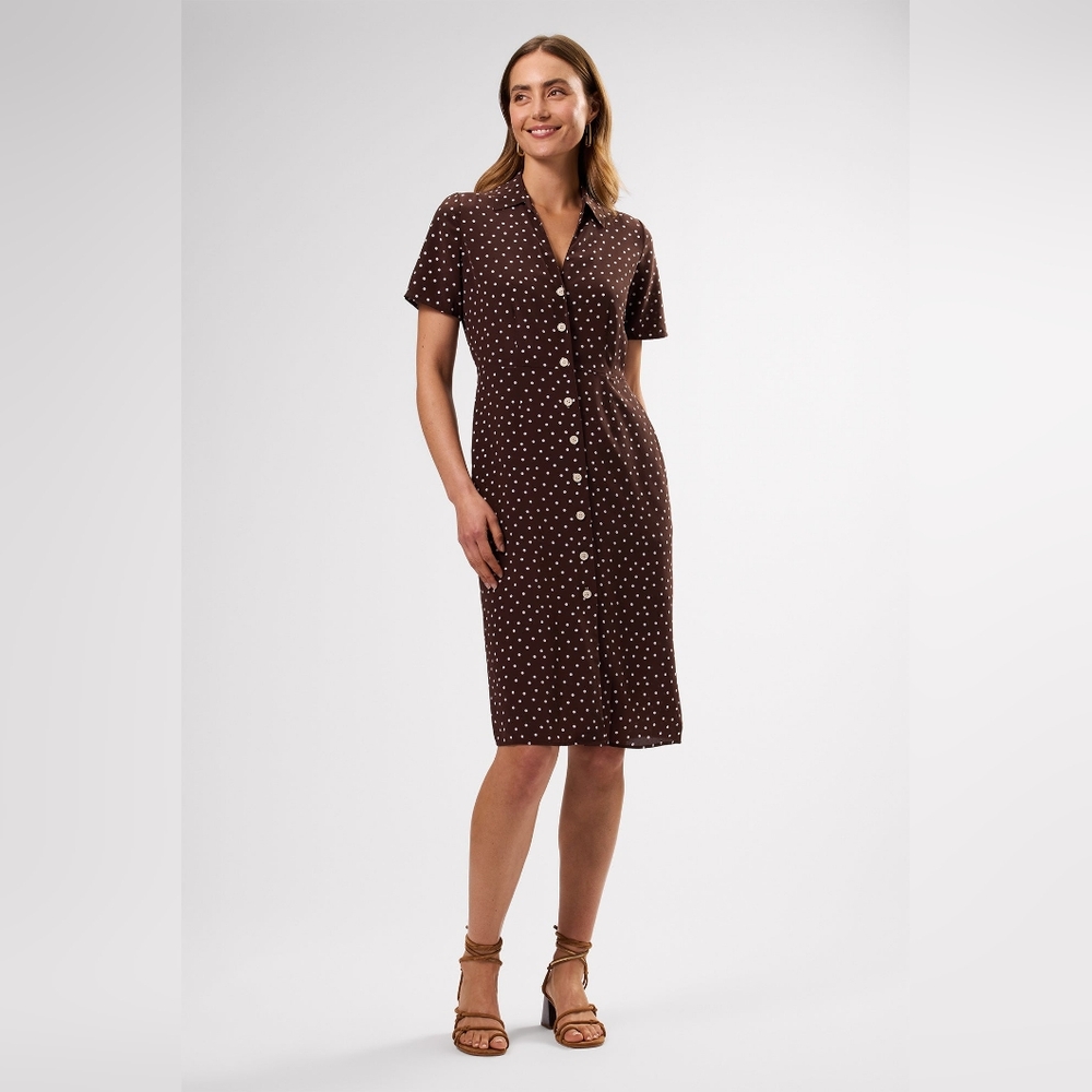 NWT Amour Vert Lou Washable Silk Dress - M